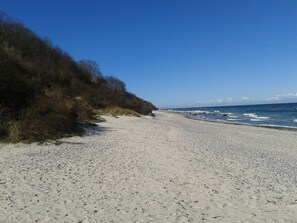 Playa en los alrededores y camastros 