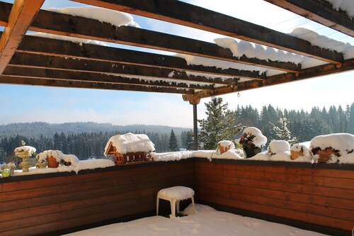 Fantastic comfortable u. cozy apartment in the heart of the Black Forest