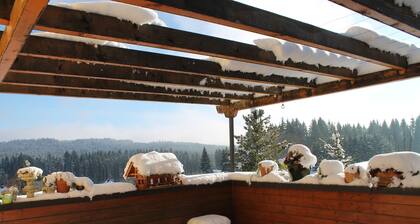 Fantastic comfortable u. cozy apartment in the heart of the Black Forest