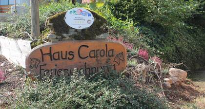 Fantástico cómodo u. acogedor apartamento en el corazón de la Selva Negra