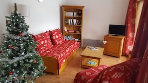 Tv, dvd-spelare, ett bordtennisbord och böcker