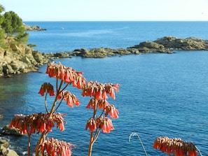 Beach nearby, sun loungers, beach towels