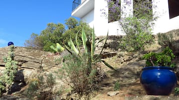 Details aan de buitenkant