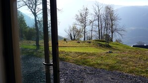 En vy över en grönskande sluttning med träd och ett bergskedja i bakgrunden.