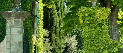 Áreas de la propiedad