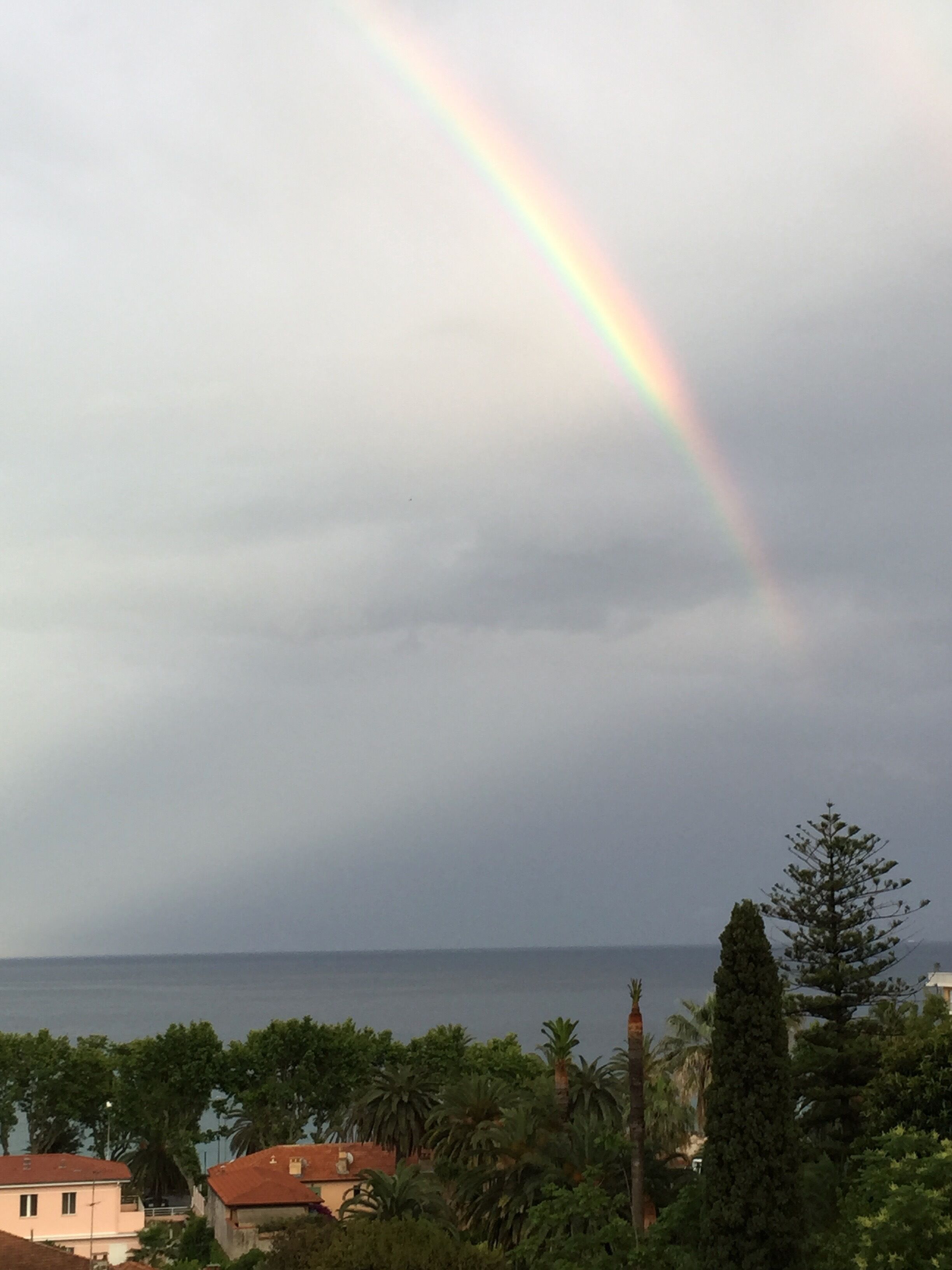 A coastal view with a rainbow, houses, and palm trees.