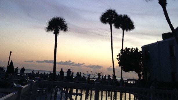 A sunset view with palm trees and a boardwalk.