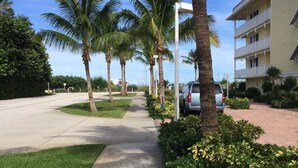 A sidewalk lined with palm trees and a building with balconies.