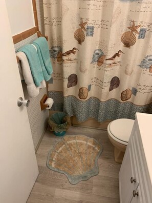 Ensemble baignoire-douche, séchoir à cheveux, serviettes fournies