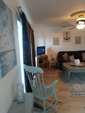 Fernseher, DVD-Player, Bücher