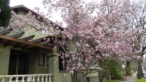 A residential house with a porch, a covered walkway, and a well-maintained lawn.