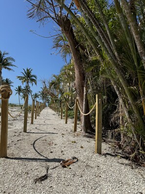 Plage, chaises longues