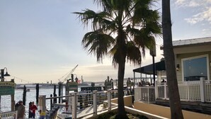 Restaurante à beira-mar com área externa, uma palmeira e vista para a água.