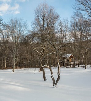 Overnatningsstedets område