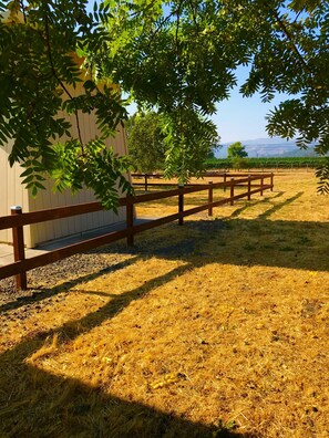 Terrain de l’hébergement 