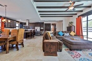 Smart TV, fireplace, DVD player, video library