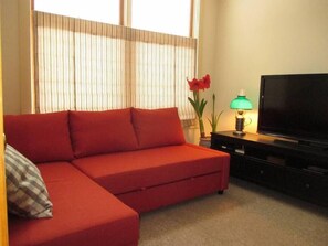 Smart TV, fireplace, books, stereo - Delightful Downtown Ithaca Home & Garden for extended stays (Ithaca)
