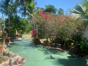 Property grounds - Open 3 BR 2 Bath Home with Private Pool, Wi-Fi, 5 Minutes to Cable Beach (Nassau)