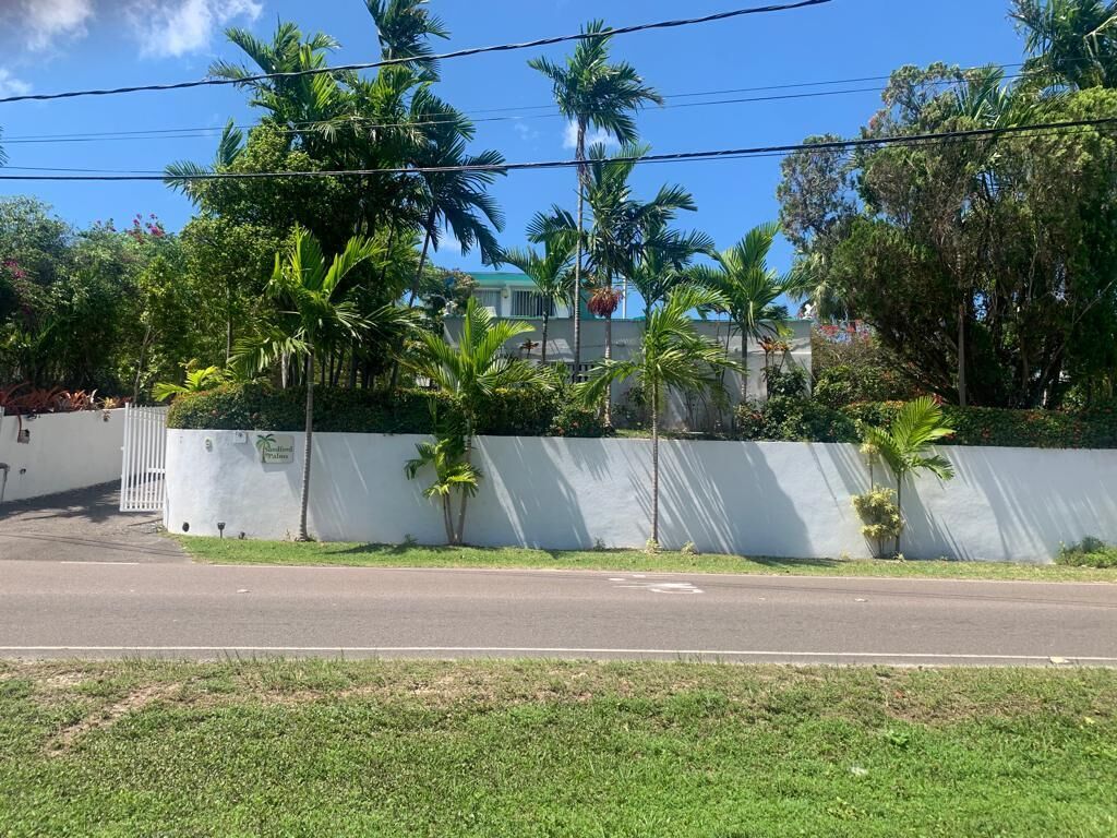 A street view with a white wall, palm trees, and a building in the background.