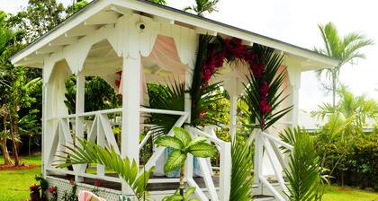 Geräumiges 3 BR Haus mit Pool, Wi-Fi, 5 Minuten von Cable Bea