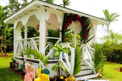 Open 3 BR 2 Bath Home with Private Pool, Wi-Fi, 5 Minutes to Cable Beach