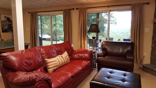 TV, fireplace, DVD player, ping pong