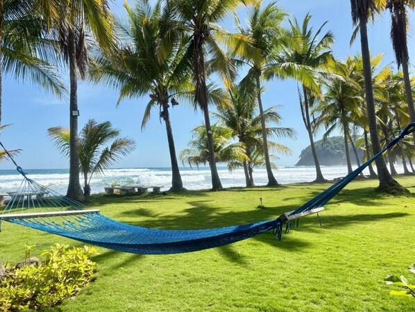 A hammock on a grassy area with palm trees and a view of the ocean.