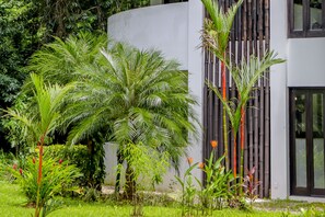 Property grounds - Welcoming open-air suite with large patio and easy beach access (Uvita)