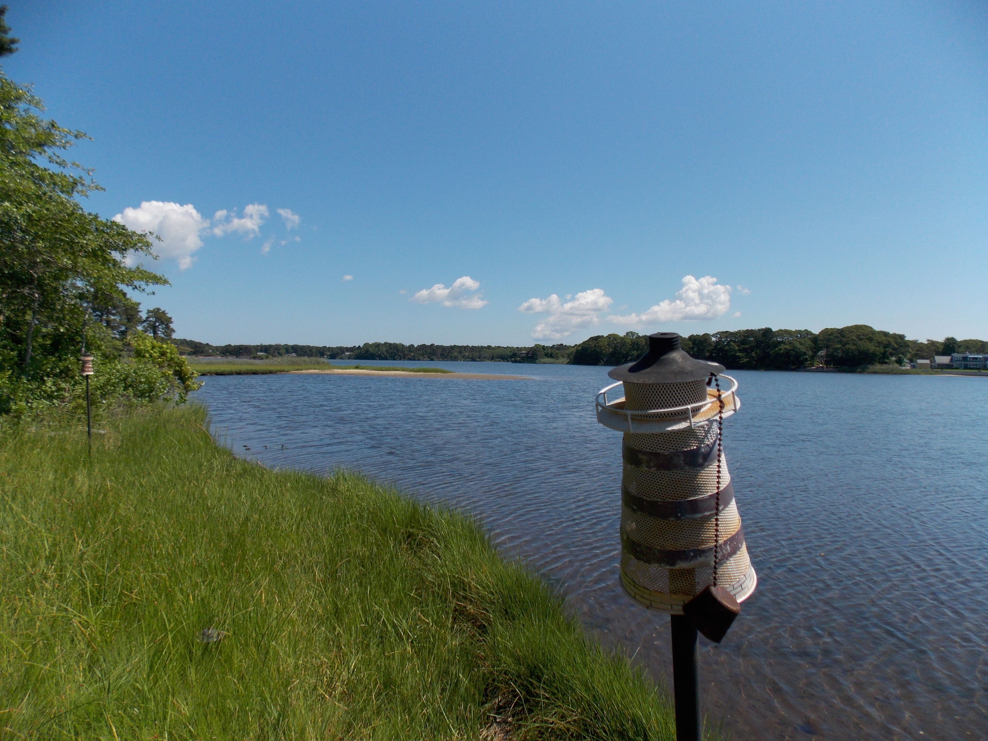 A calm lake with a wooden dock extending into the water.