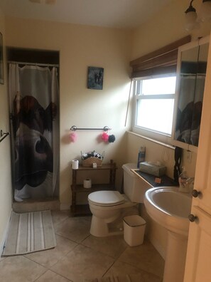 Shower, hair dryer, towels, soap - Cozy quiet cottage nestled in Safety Harbor (Safety Harbor)