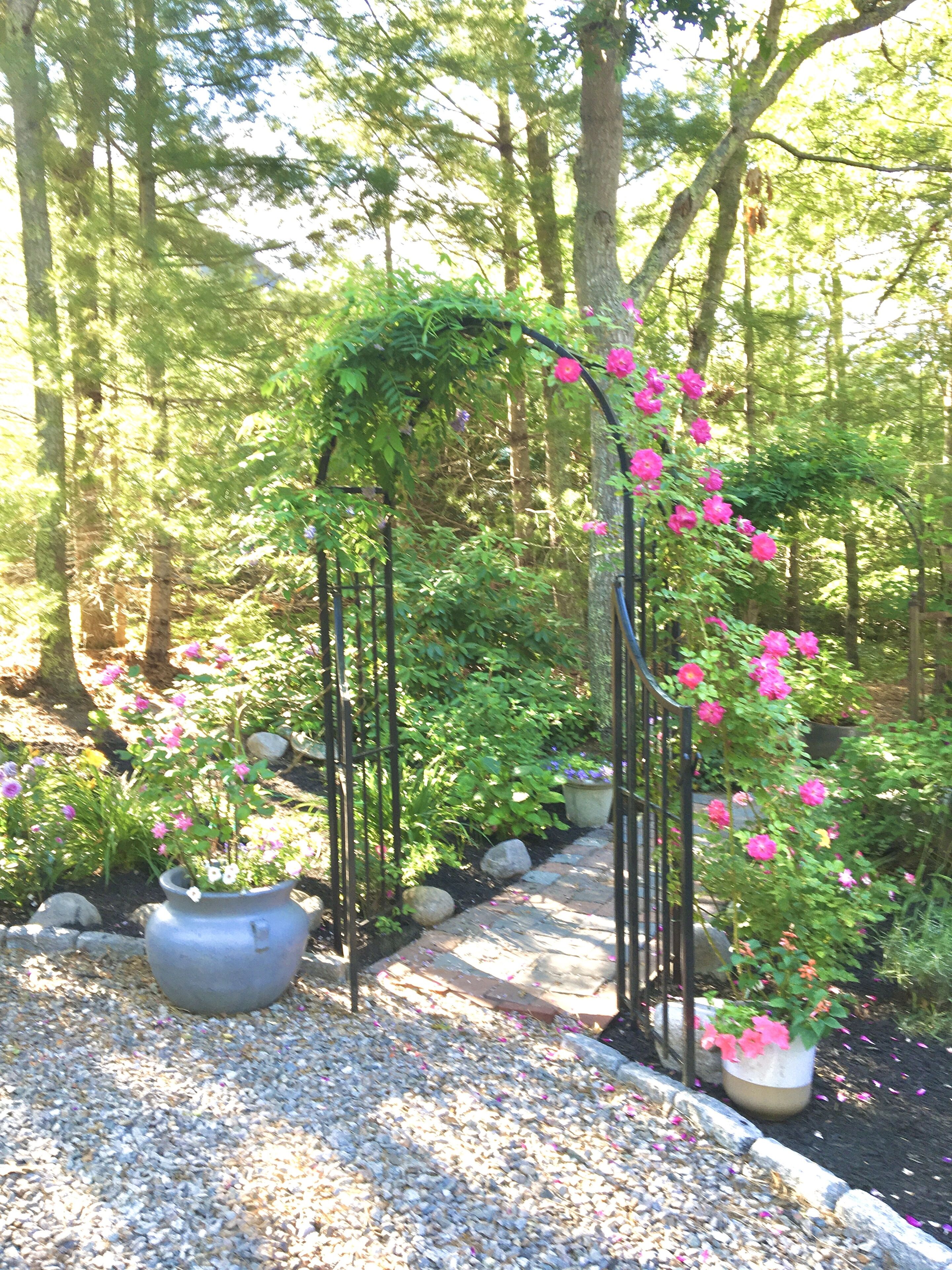 A garden pathway with a metal archway, surrounded by trees and potted plants.