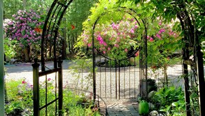 A garden with a metal archway, potted plants, and a gravel path.