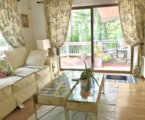Smart TV, fireplace, DVD player, books
