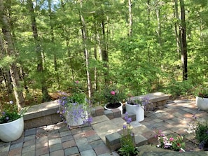 Stroll through the garden, surrounded by lush greenery and vibrant flowers, along a winding stone pathway.