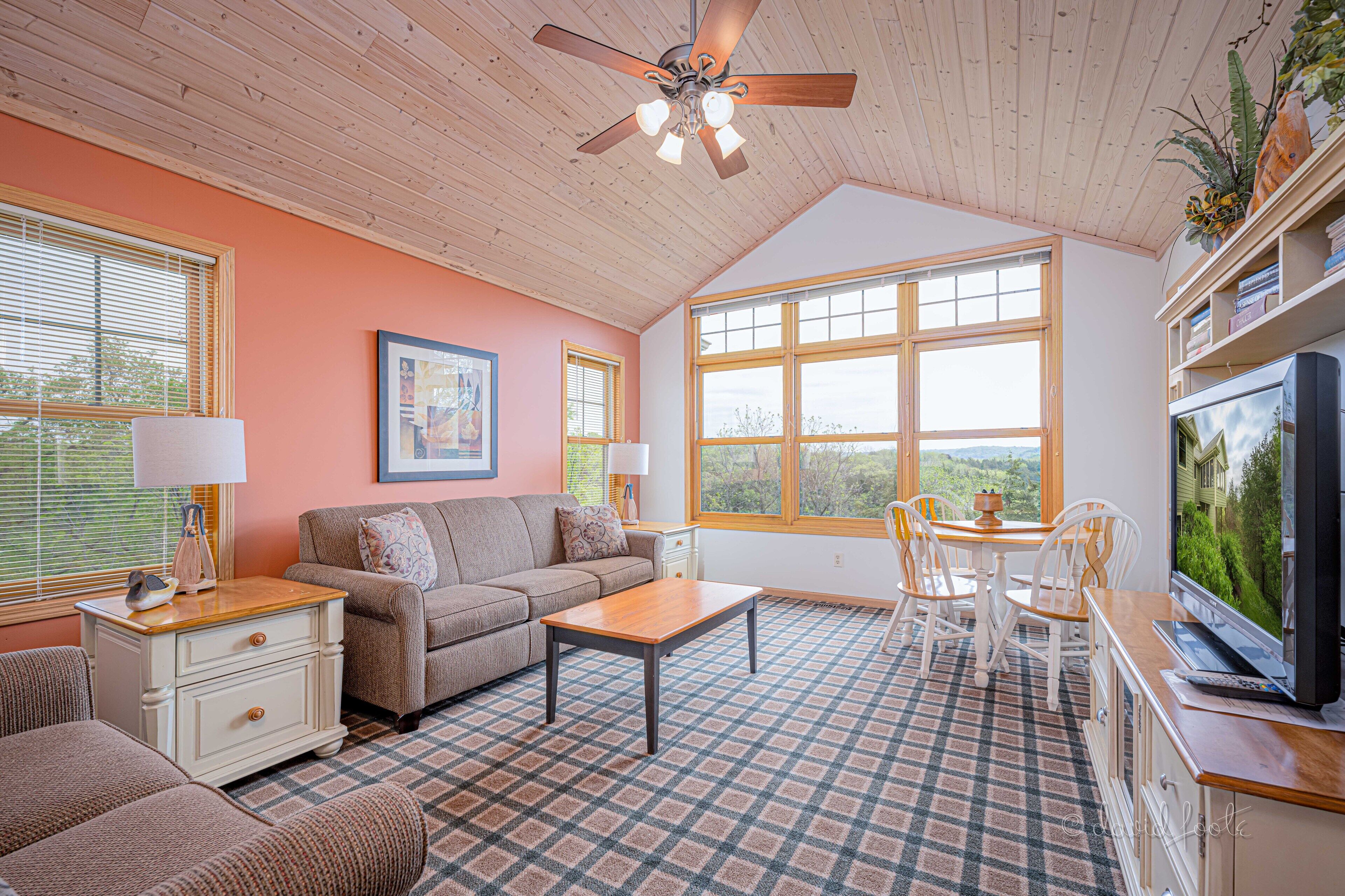 Smart TV, fireplace, DVD player, books