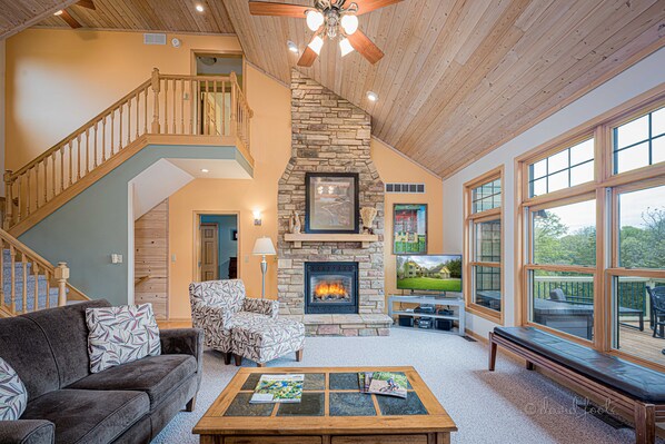 Smart TV, fireplace, DVD player, books