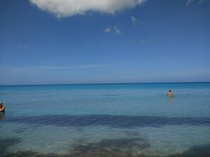Tumbonas y toallas de playa