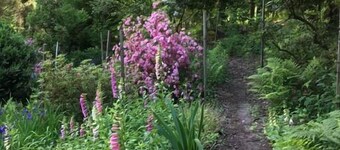 Hytte ved Taughannock nær State Park, Cayuga Lake, 10 miles til Ithaca, Cornell