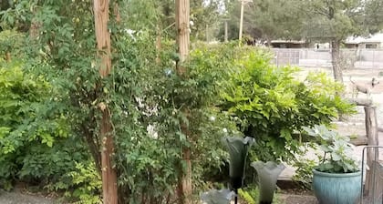 Charming kolme huonetta Casita sydämessä Los Ranchos de ABQ - Kotieläimet Tervetuloa