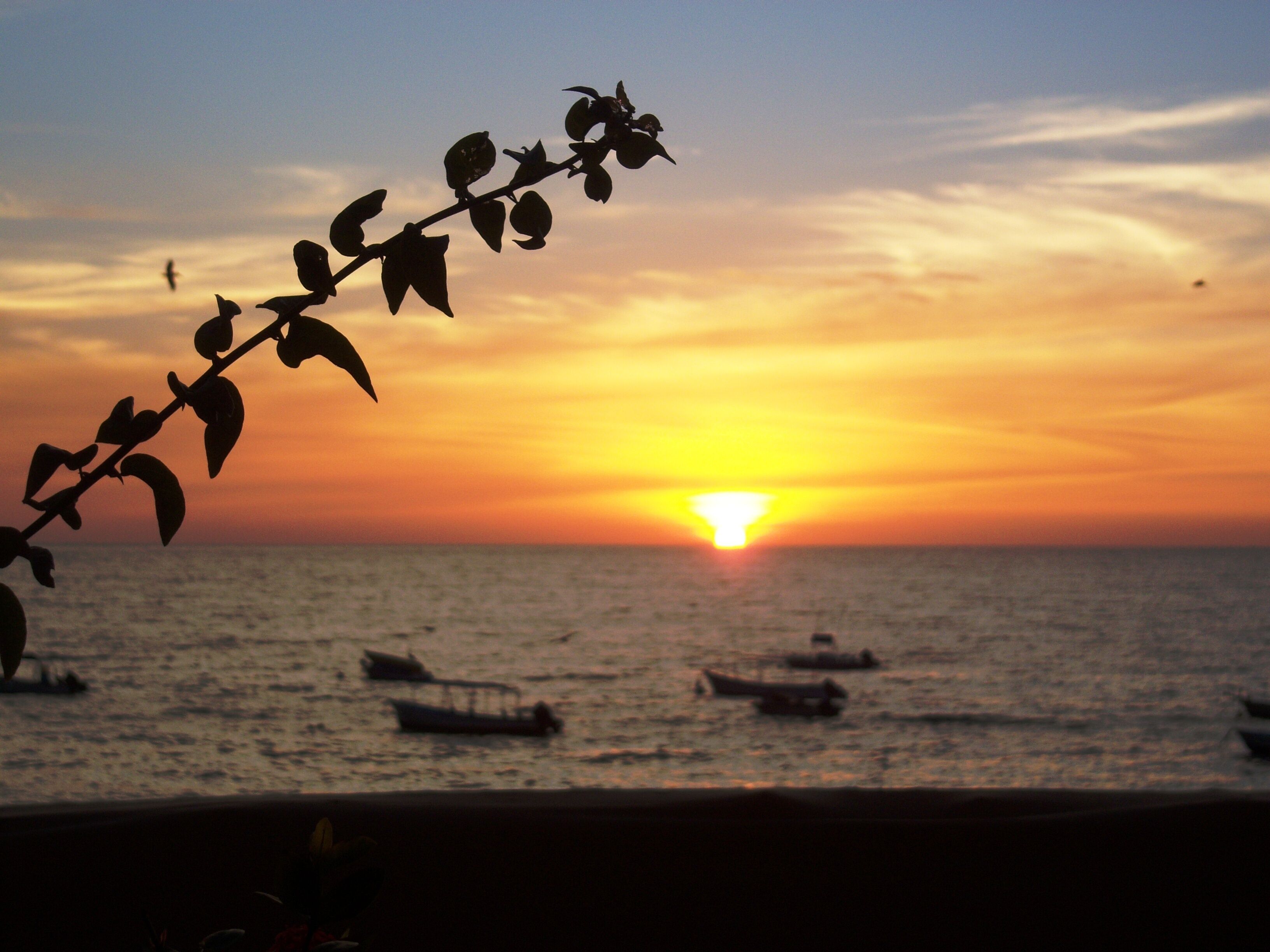 Un coucher de soleil sur l’océan, avec des bateaux sur l’eau.