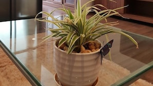 A potted plant with a butterfly on a glass table in a living room with a sliding glass door and a television in the background. - Min Apartment (Ho Chi Minh City)