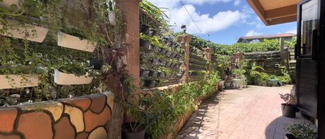 A brick pathway with potted plants and a stone wall.