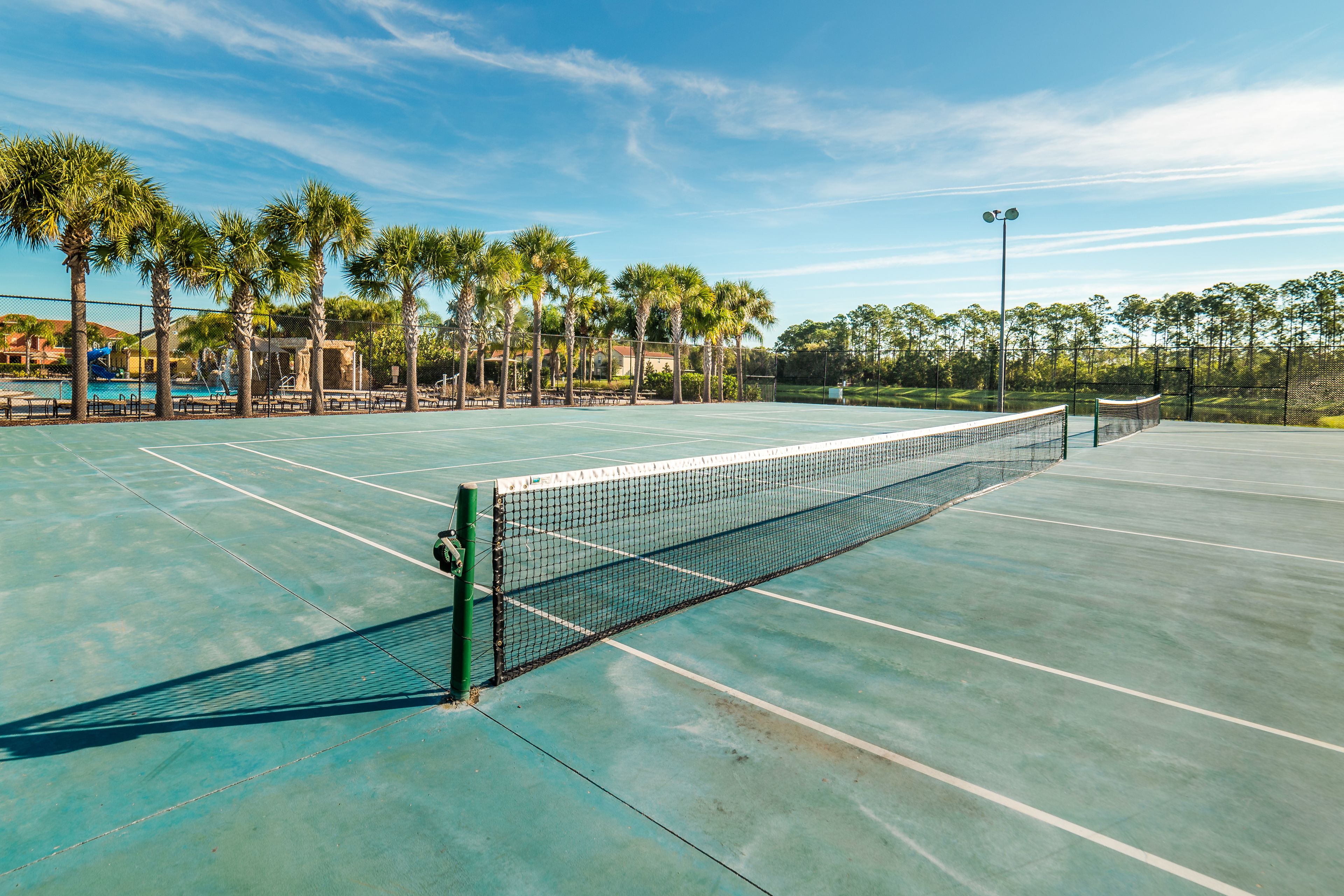 Cancha de tennis a l'aire lliure amb xarxa, envoltada de palmeres i una tanca.