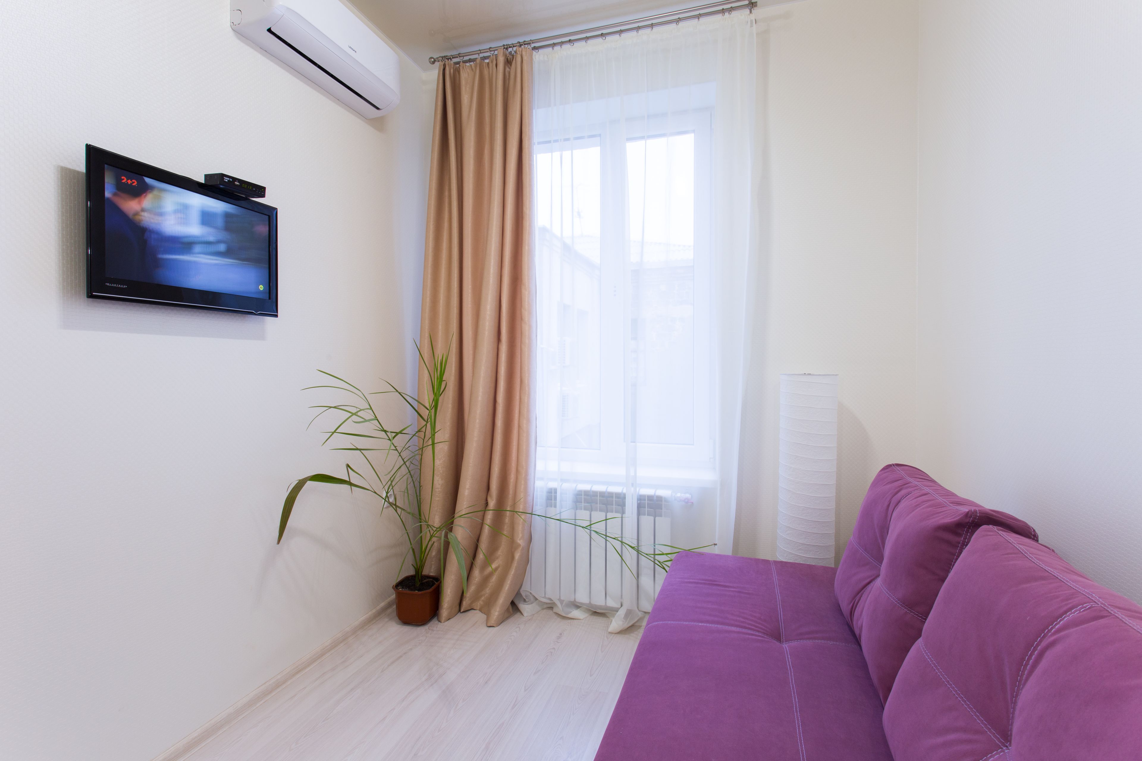 Habitació amb televisió de pantalla plana penjada a la paret, una planta en test, un sofà morat i una finestra amb cortines de tela fina.