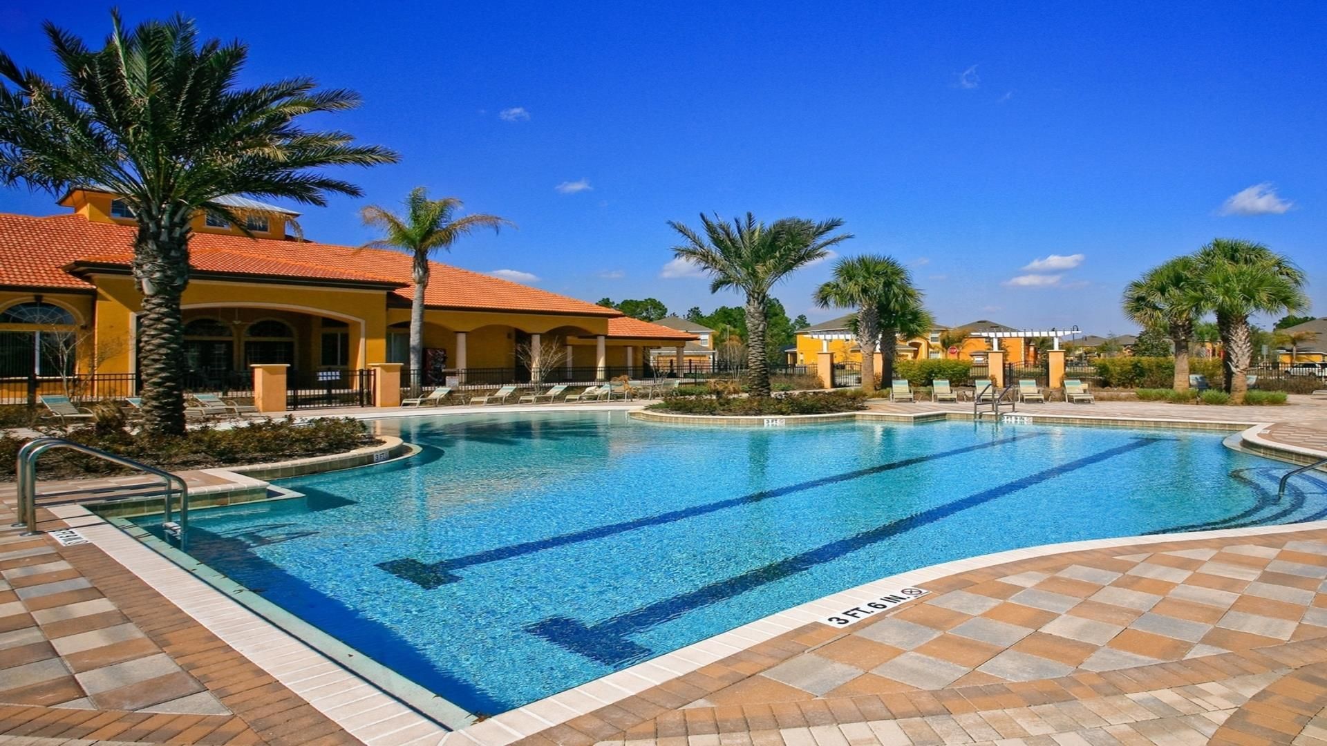 A swimming pool with clear blue water, surrounded by palm trees and lounge chairs.