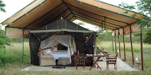 Tält Deluxe (North Serengeti & Ndutu–Ngorongoro)