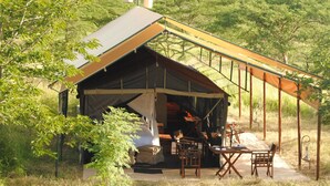 Deluxe Tent (North Serengeti & Ndutu–Ngorongoro) - Serengeti Tanzania Bush Camps (Serengeti)