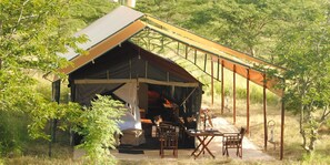Tente Deluxe (North Serengeti & Ndutu–Ngorongoro)