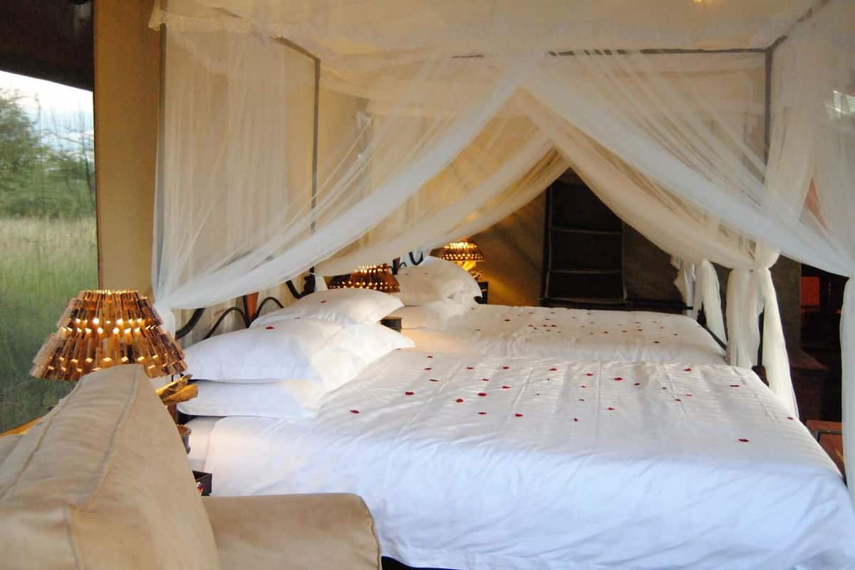 Deluxe Tent (North Serengeti & Ndutu–Ngorongoro)