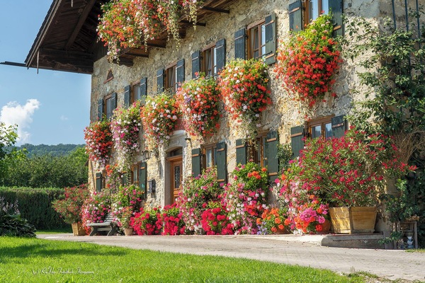 Bachtelhuber-Hof (DE Teisendorf) - Ilmauer Martin - 2026-Bauernhaus